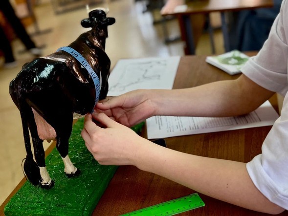 Среди юных аграриев края выбрали победителей регионального агроэкологического слета «АгроСтарт»