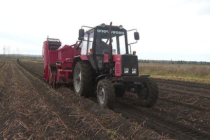 Программа "О хлебе насущном": об уборке урожая в режиме ЧС