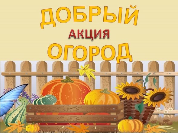 Жителей Красноярского края приглашают принять участие в агроволонтерской акции «Добрый огород»