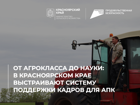 От агрокласса до науки: в Красноярском крае выстраивают систему поддержки кадров для АПК