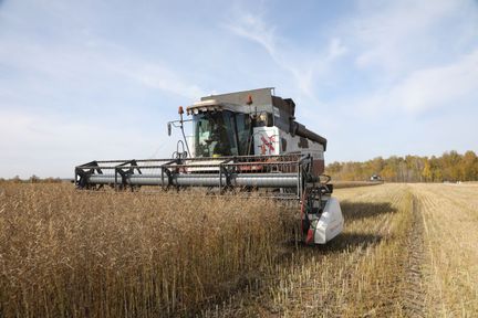 Краевые аграрии намолотили 2,9 млн тонн зерна