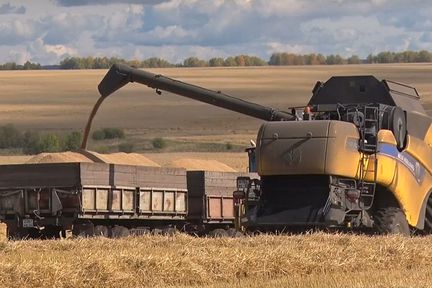 Уборочная в разгаре: смогут ли аграрии взять рекордный урожай?