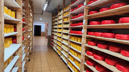 Предприятия Красноярского края увеличили производство сыра