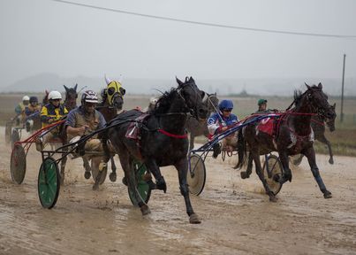 Лучших сельских конников Красноярского края наградили автомобилями