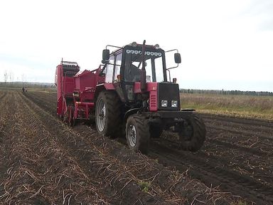 Программа "О хлебе насущном": об уборке урожая в режиме ЧС