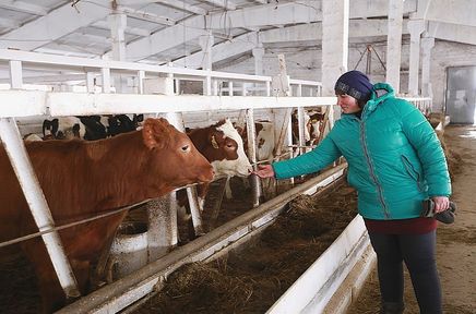 Хозяйства Красноярского края получат на производство молока 329,5 миллиона рублей