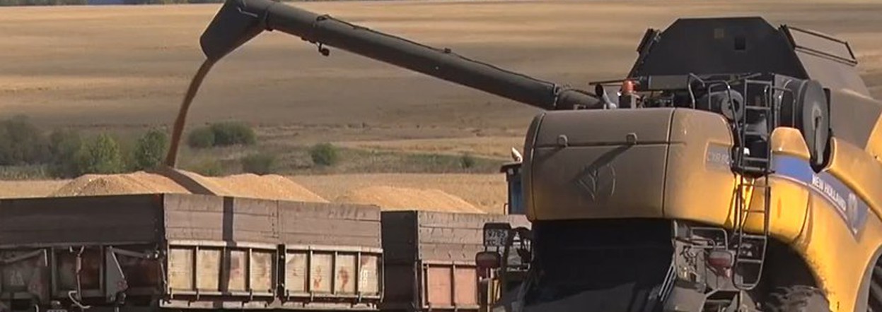 Уборочная в разгаре: смогут ли аграрии взять рекордный урожай?