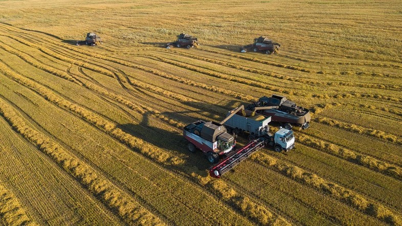 Хлеборобы Красноярского края собрали первый миллион тонн зерна