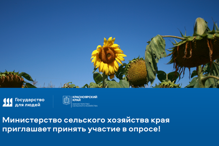 Приглашаем принять участие в опросе!