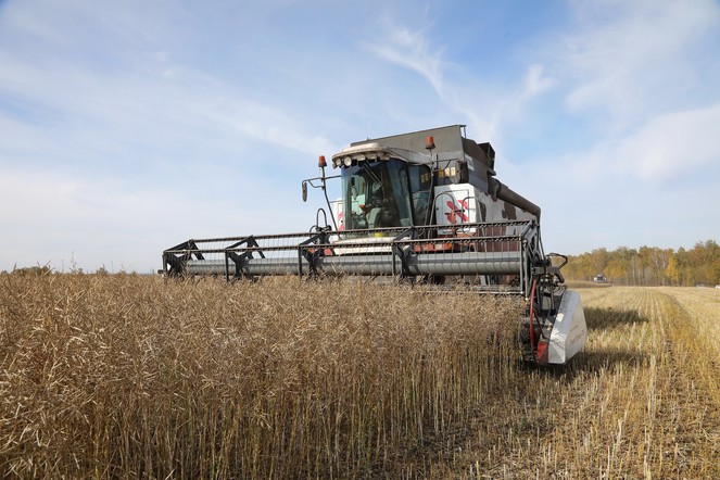 В Красноярском крае стартовала уборочная кампания