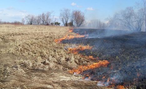 Министерство сельского хозяйства края напоминает о необходимости соблюдения мер пожарной безопасности