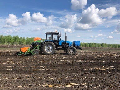 В Красноярском крае зерновыми засеяли 80 процентов пашни
