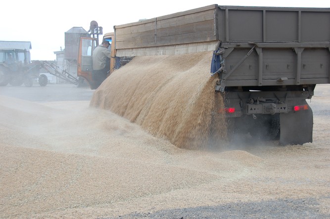 Центр «Мой бизнес» открывает приём заявок на софинансирование экспортных перевозок