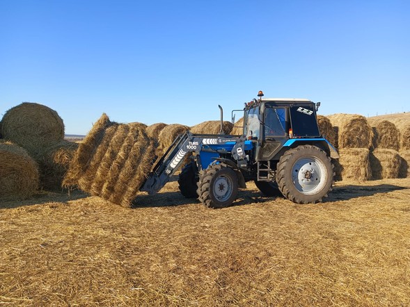 Поддержка на старте: за пять лет гранты на открытие малого агробизнеса получили 77 фермеров Красноярского края