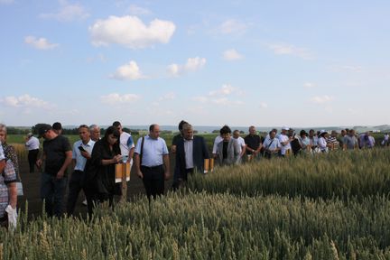 Аграрии Красноярского края обсудили перспективы развития семеноводства