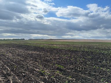 Уверенными темпами в регионе идет посевная, работы в полях выполнены почти на 80%