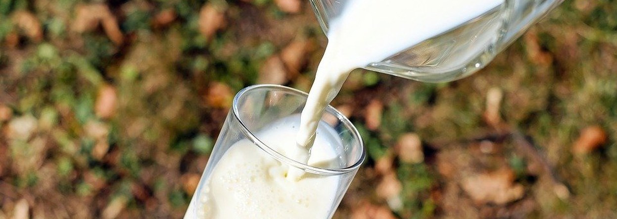 Предприятия Красноярского края увеличили экспорт молочной продукции