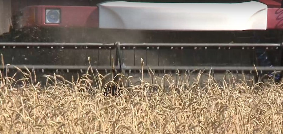 Программа "О хлебе насущном": ситуация с топливом для аграриев