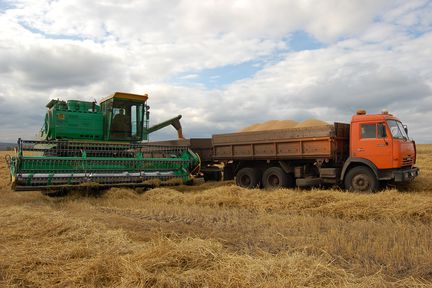 Аграрии Красноярского края получили более 180 миллионов рублей на производство и сбыт зерновых
