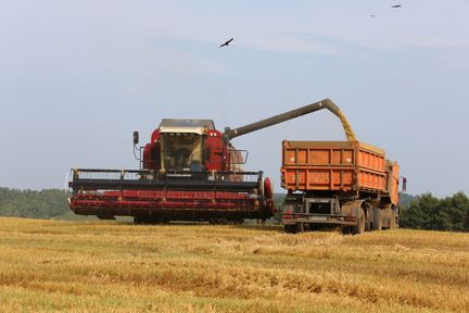 За пять лет аграрии Красноярского края в 4,5 раза увеличили площади застрахованных посевов