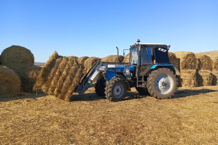 Поддержка на старте: за пять лет гранты на открытие малого агробизнеса получили 77 фермеров Красноярского края