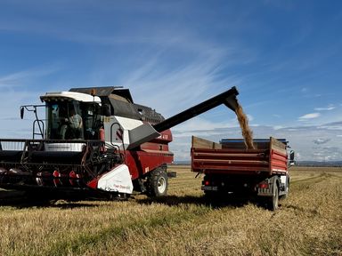 Аграрии Красноярского края завершили уборочную