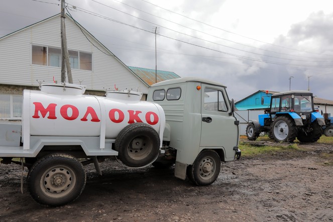 Сельхозкооперативы края получат более 48 млн рублей за закуп молока и мяса у владельцев личных подсобных хозяйств