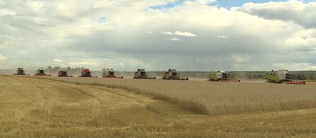 Программа "О хлебе насущном": трудности с реализацией зерна и гидропонные установки для зелени