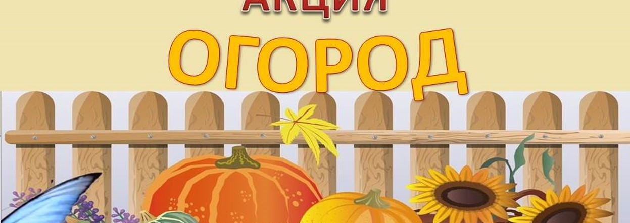 Жителей Красноярского края приглашают принять участие в агроволонтерской акции «Добрый огород»