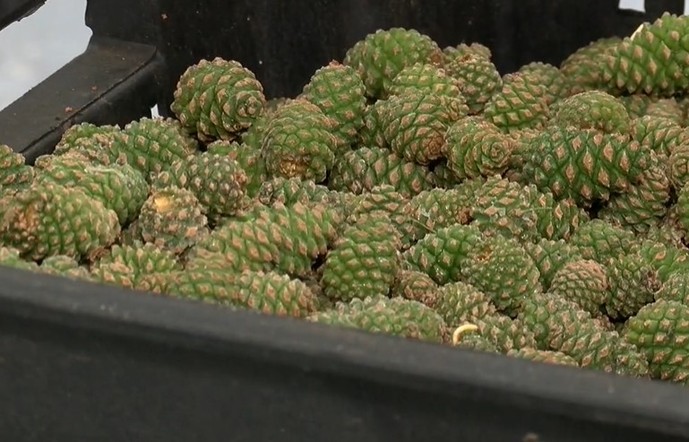 Программа "О хлебе насущном" (18.06.2022)