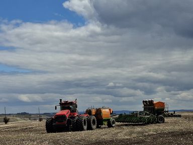 В 26 муниципальных округах Красноярского края проходит посевная кампания