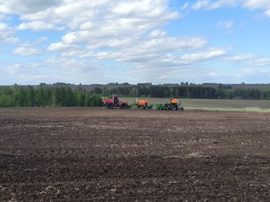 Посевная в Красноярском крае выполнена более чем на 80 процентов