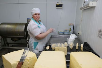 От поля до прилавка: фермеры Красноярского края получат гранты на производство молочной и мясной продукции