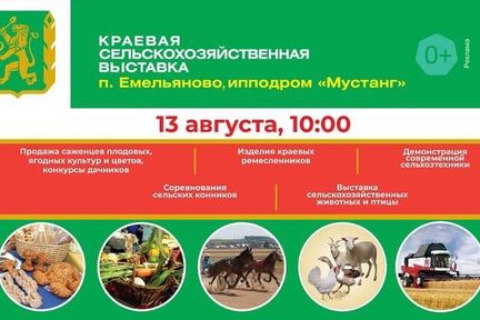 Цветы и саженцы, сельхозживотные, состязания конников и аграрная техника: в Красноярском крае пройдёт День поля
