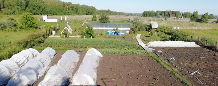 В Красноярском крае 28 садовых обществ получат до трёх миллионов рублей