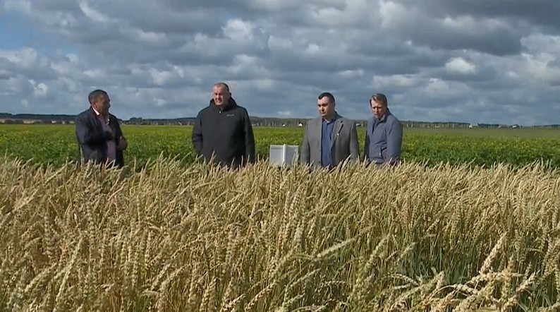 Программа "О хлебе насущном": на что способны современные комбайны?