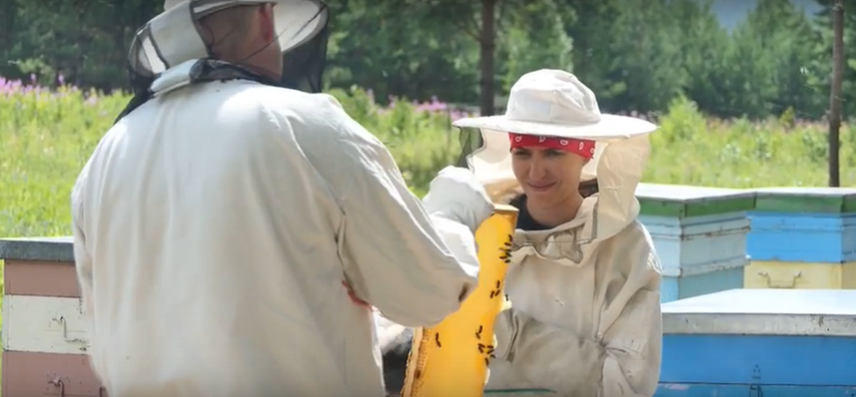 Пасека онлайн: как молодые предприниматели совмещают современные гаджеты и опыт предков?