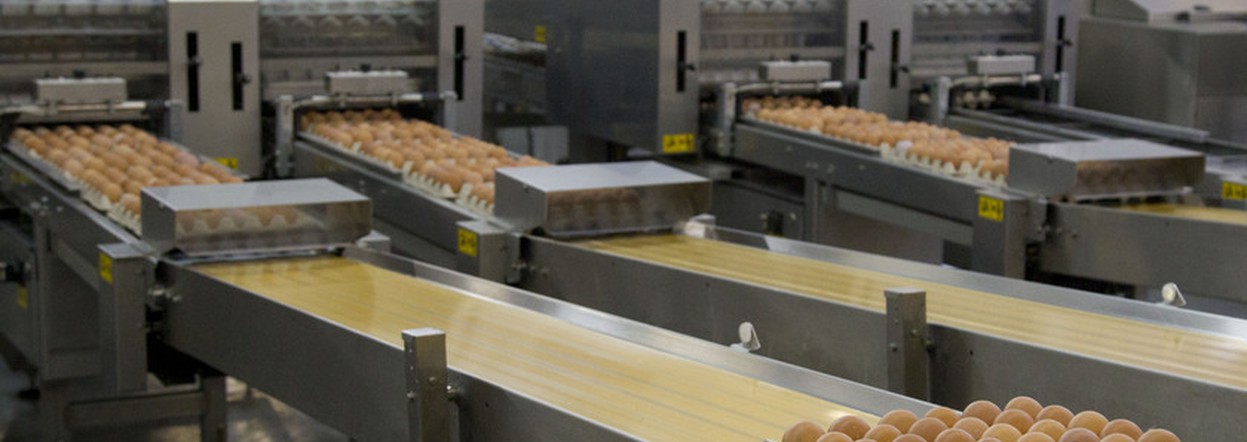Предприятия Красноярского края увеличили объём производства продуктов питания