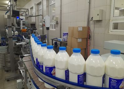 В Красноярском крае начался отбор на субсидии для переработчиков молока