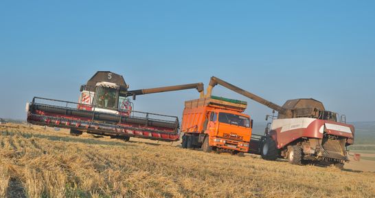 Более половины зернопроизводящих районов Красноярского края включились в уборочную
