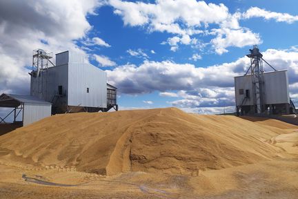 Аграрии Красноярского края преодолели рубеж в 3 млн тонн зерна