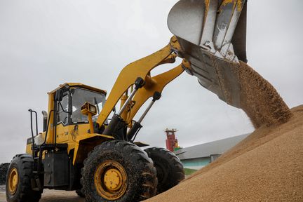 Хлеборобы Красноярского края собрали 2,6 миллиона тонн зерна