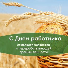Поздравления с Днем работника сельского хозяйства и перерабатывающей промышленности