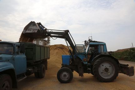 Два краевых сельхозкооператива на гранты построят зерносклад и цех по переработке мясной продукции