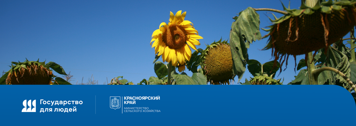 Приглашаем принять участие в опросе!