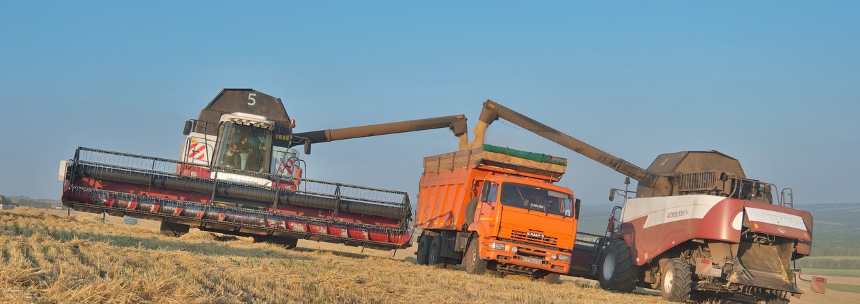 Более половины зернопроизводящих районов Красноярского края включились в уборочную