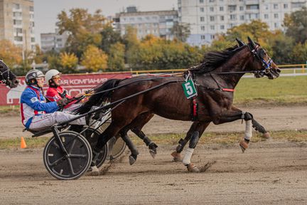 Команда Красноярского края – в абсолютных чемпионах Большого Сибирского круга – 2025