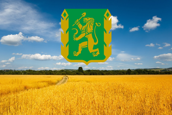 Краевые соревнования сельских конников