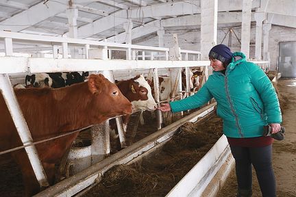Хозяйства Красноярского края получат на производство молока 329,5 миллиона рублей