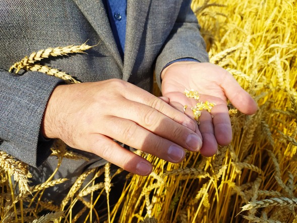 В агропромышленном комплексе Красноярского края трудятся более 28 тысяч человек